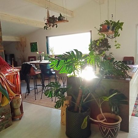 Logement De Charme Avec Piscine Et Jacuzzi Carnoules  Exteriör bild