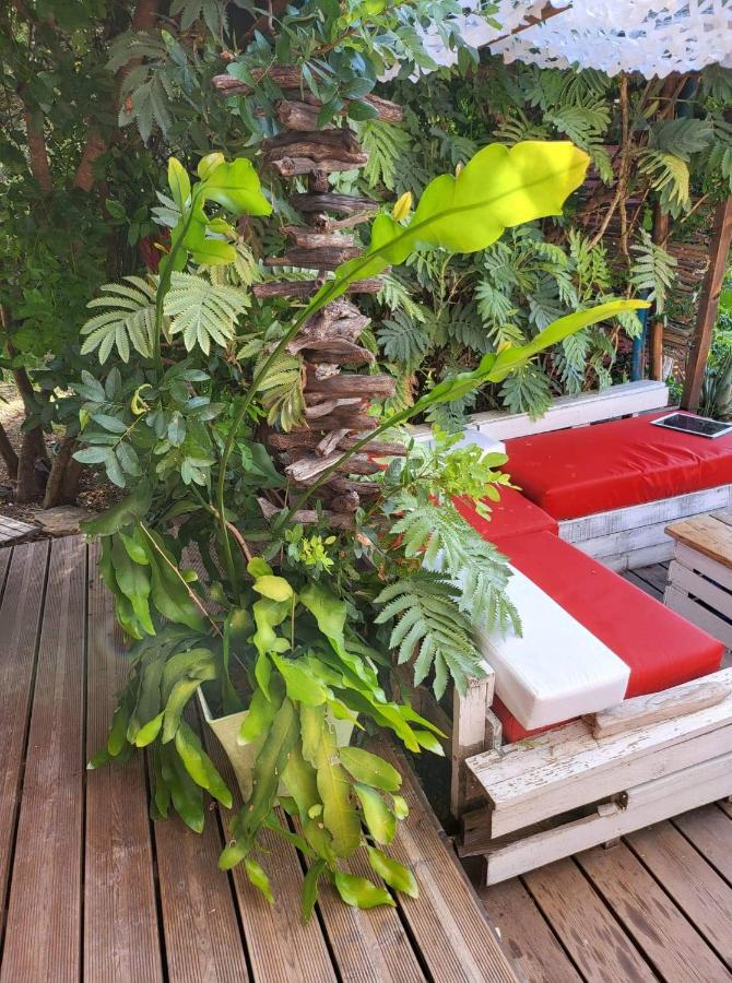 Logement De Charme Avec Piscine Et Jacuzzi Carnoules  Exteriör bild