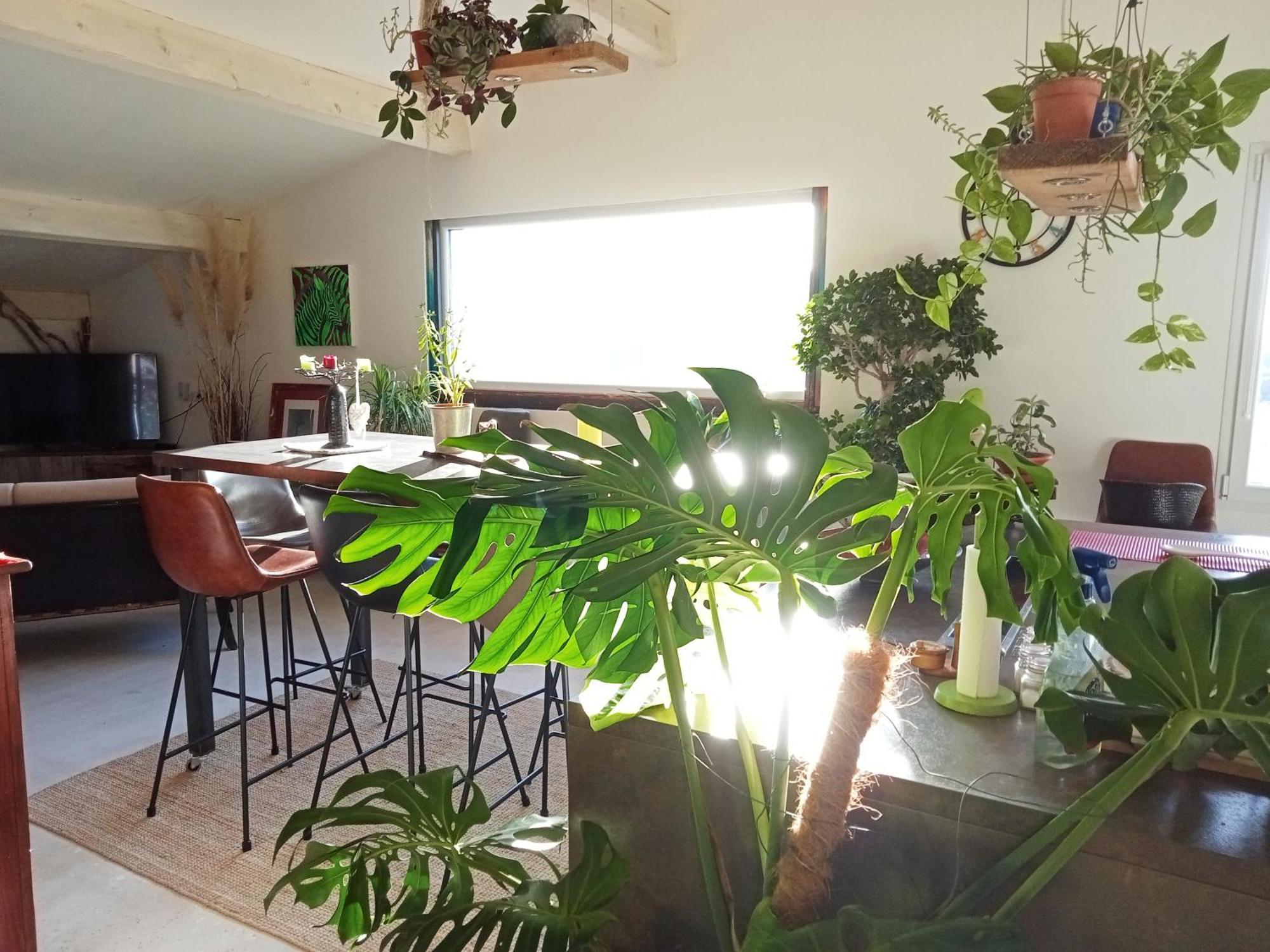 Logement De Charme Avec Piscine Et Jacuzzi Carnoules  Exteriör bild